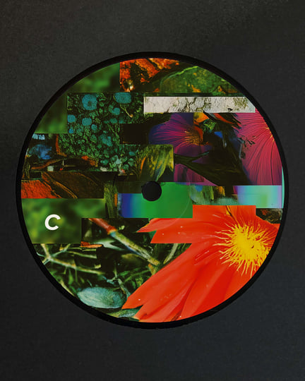 Leev Ur Mynd | Mr Fingers | Alleviated Records