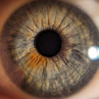 Lau thumbnail