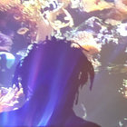 betenoir thumbnail