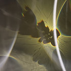 otto thumbnail