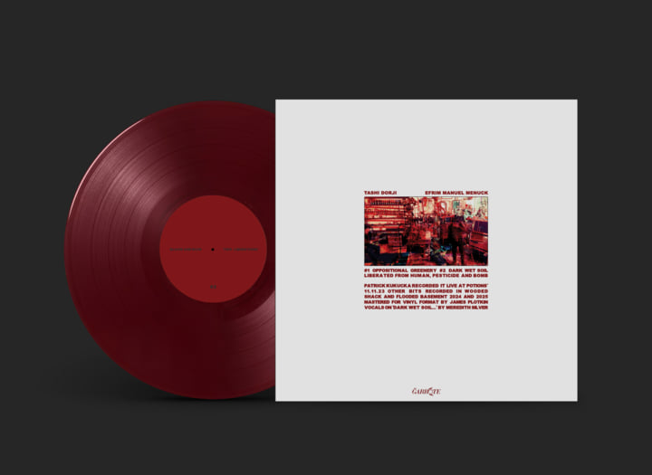 BLOOM AND RUIN - 