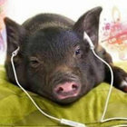 atleasttheresalwaysmusic thumbnail