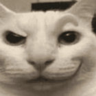 inqed thumbnail