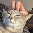 colin3921 thumbnail
