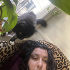 guaparda thumbnail