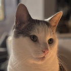 Gaspard Lavoie thumbnail