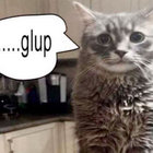 moosooey thumbnail