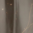 mamtor thumbnail