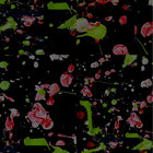 florenciajoost thumbnail