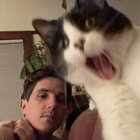 grinwada thumbnail