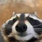 totally_ratical thumbnail