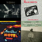 洋楽 The Walkabouts/Setting the Woods on Fire a1688693304_10.jpg