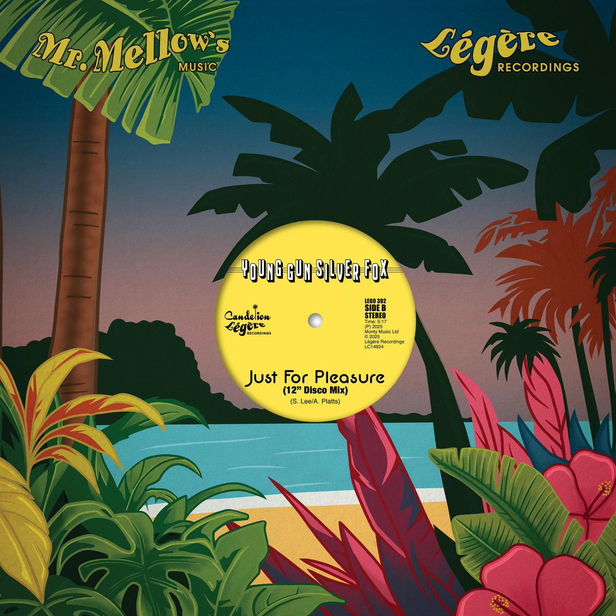The Disco Mixes 2 (Légère Edition) | Young Gun Silver Fox | Légère