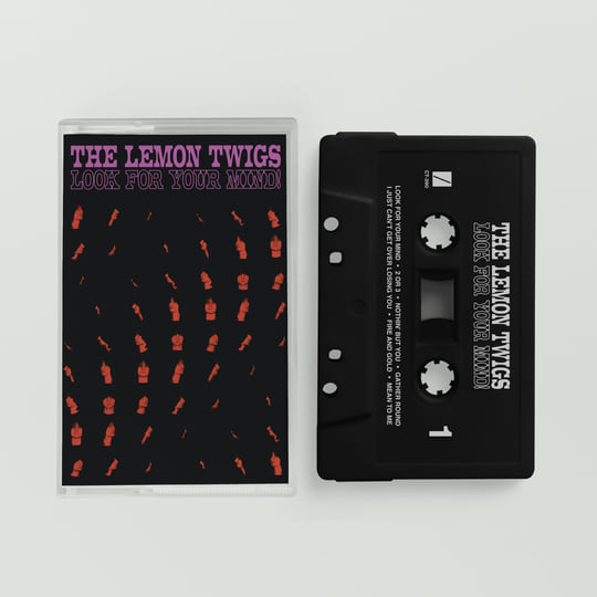 CD新品　THE LEMON TWIGS 「 CITY LIGHTS 」 Look For Your Mind! | The Lemon Twigs