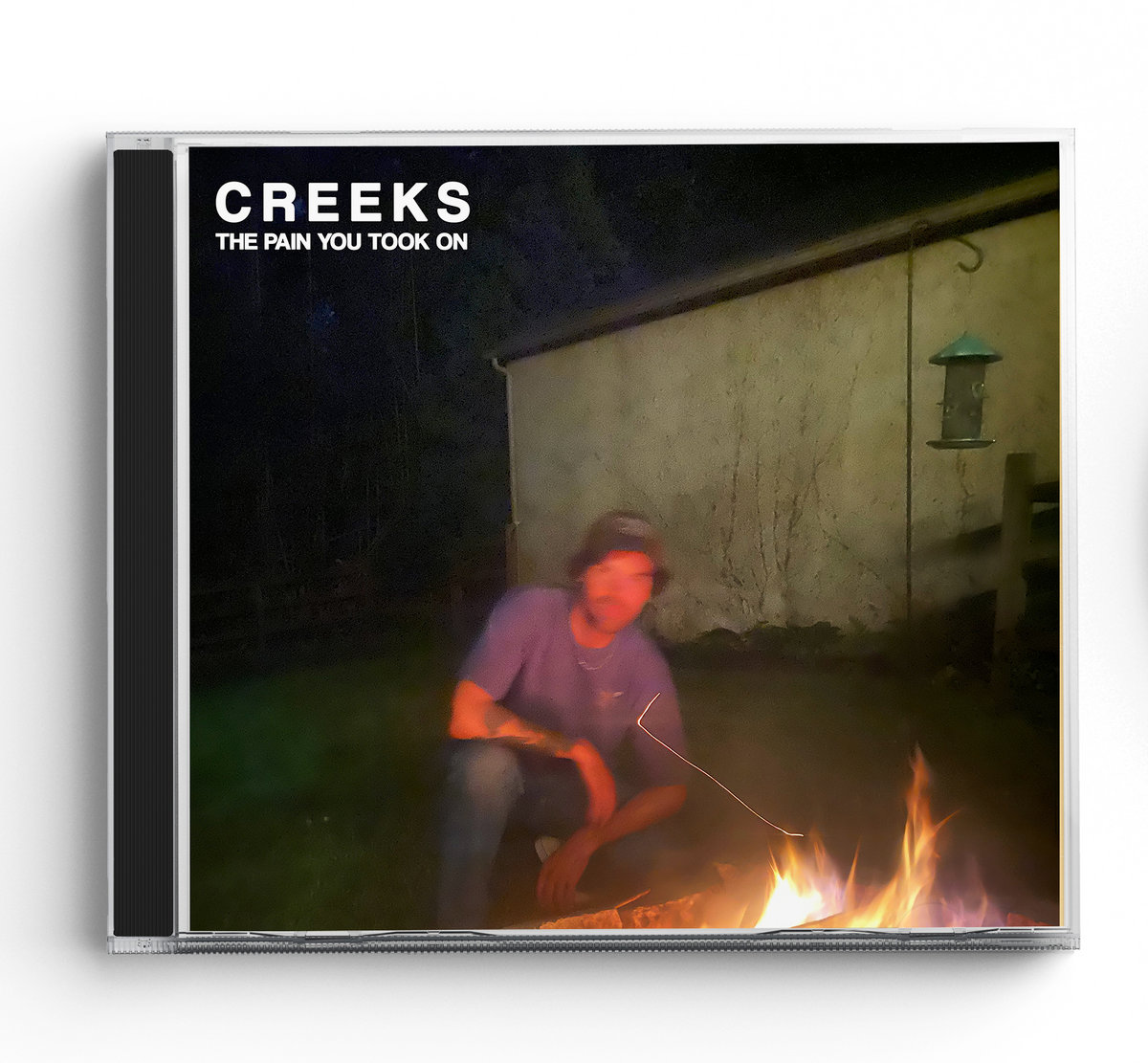 The Pain You Took On | CREEKS | Born Losers Records