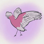 ToHugADuck thumbnail