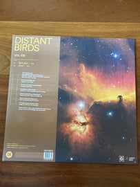 Double Vinyl, image 3