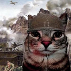 jearce thumbnail