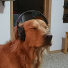 chalupajetka thumbnail