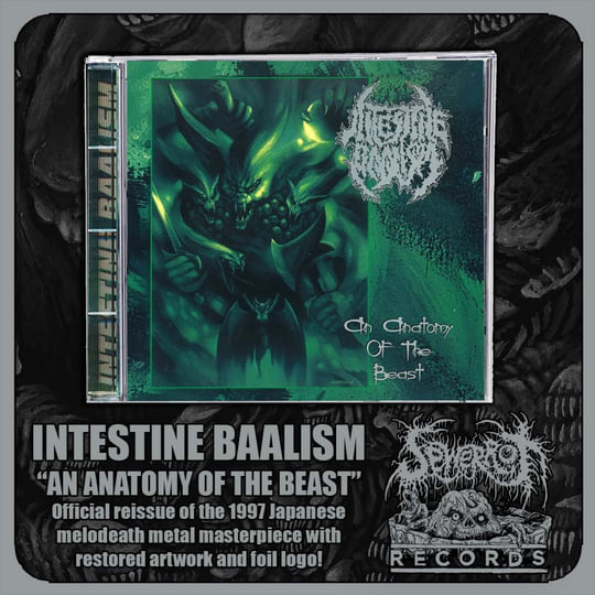 An Anatomy of The Beast | Intestine Baalism