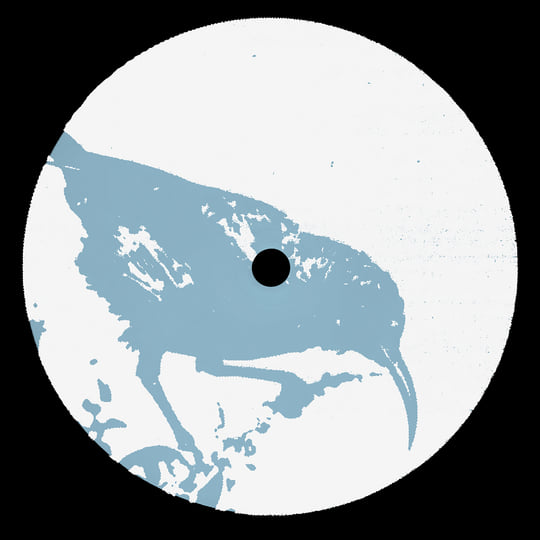 Blue Bird | Alek Lee