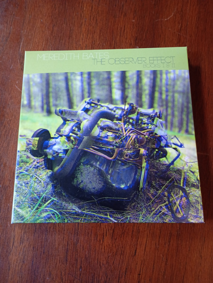 The Observer Effect | Meredith Bates | phonometrograph