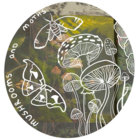 mushroomsandmoths thumbnail