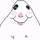 bombacat thumbnail