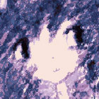limia thumbnail