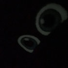 ribbit thumbnail