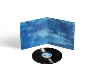 Classic Black Vinyl, image 2
