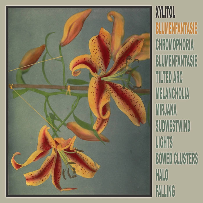 Xylitol, “Blumenfantasie”