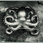 William Neil C.  thumbnail