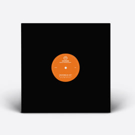 Limited Edition 12" Black Vinyl, image 3
