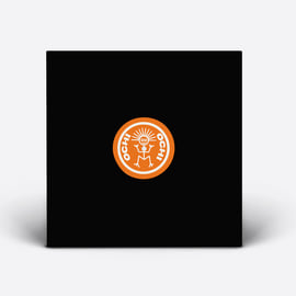 Limited Edition 12" Black Vinyl, image 4