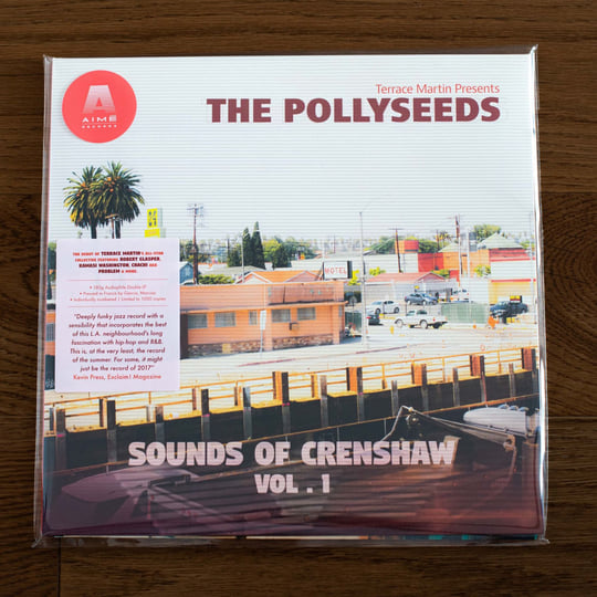 Sounds Of Crenshaw Vol. 1 | Terrace Martin Presents The Pollyseeds