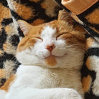 muinhox thumbnail