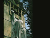Within the Realm of a Dying Sun (Remastered) — Standard Black Vinyl LP