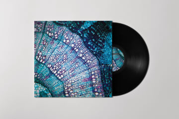 Petite Constellations Limited Edition 12" Vinyl, image 1