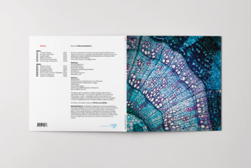 Petite Constellations Limited Edition 12" Vinyl, image 2