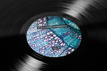 Petite Constellations Limited Edition 12" Vinyl, image 3