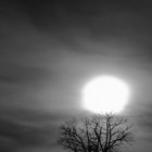 hidden_void thumbnail