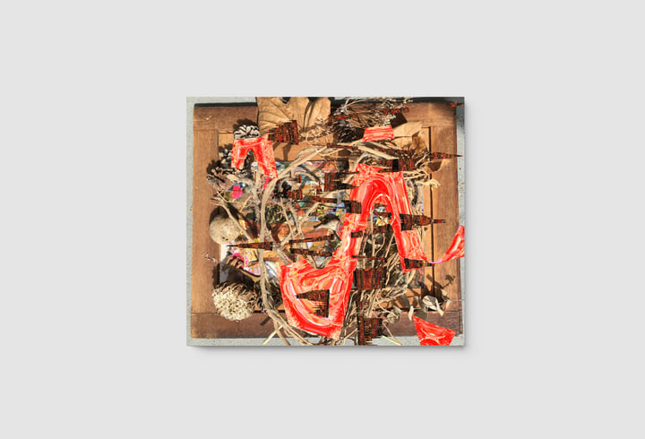 Tsubute Mosaic | Merzbow