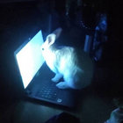 jvnebun thumbnail