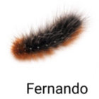 brinsleyschwartze thumbnail