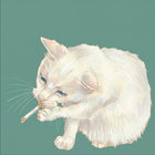daHousecat thumbnail