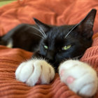 baby fayebert thumbnail