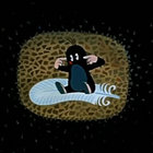 prodingus thumbnail