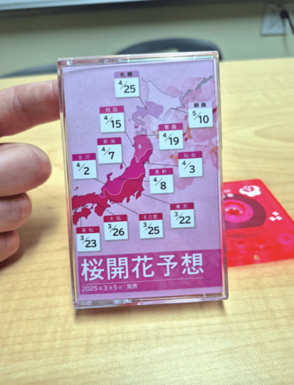 2025年の桜の開花予想 ❀ | CHΞRRY BLOSSOM FORΞCΛSŦ