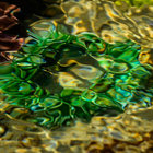 beanyquest thumbnail